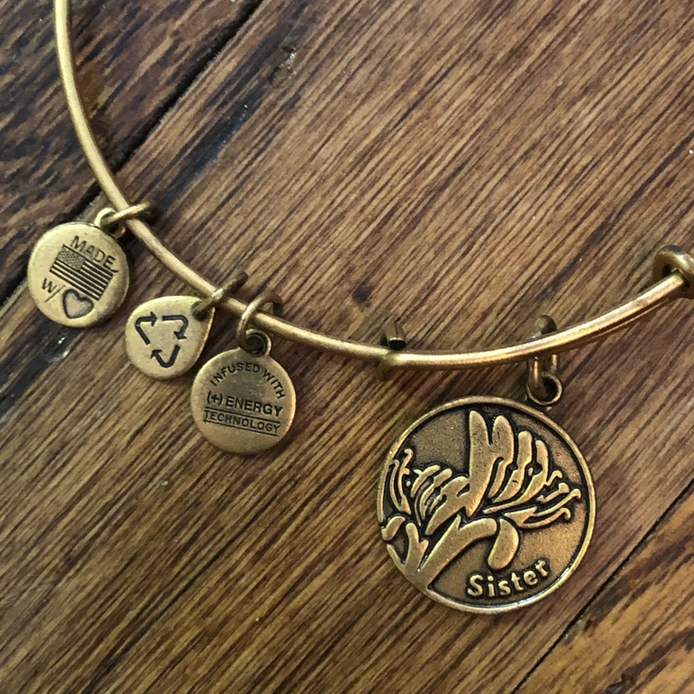 Sister Alex and ani bracelet